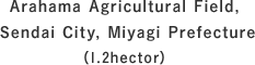 Arahama Agricultural Field, Sendai City, Miyagi Prefecture (1.2 hector)